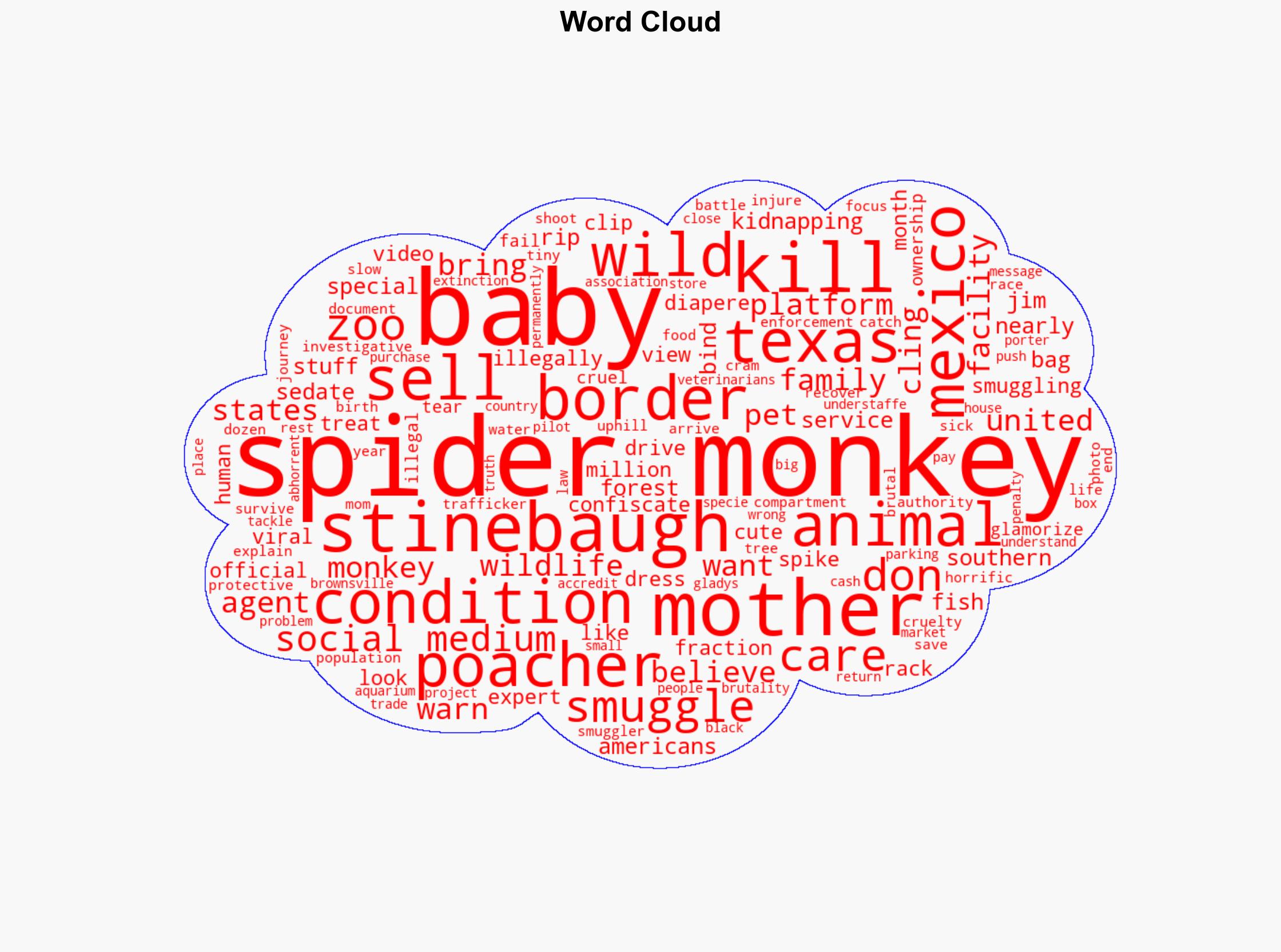 Poachers are killing spider monkeys and selling their babies on social media - CBS News - Image 1