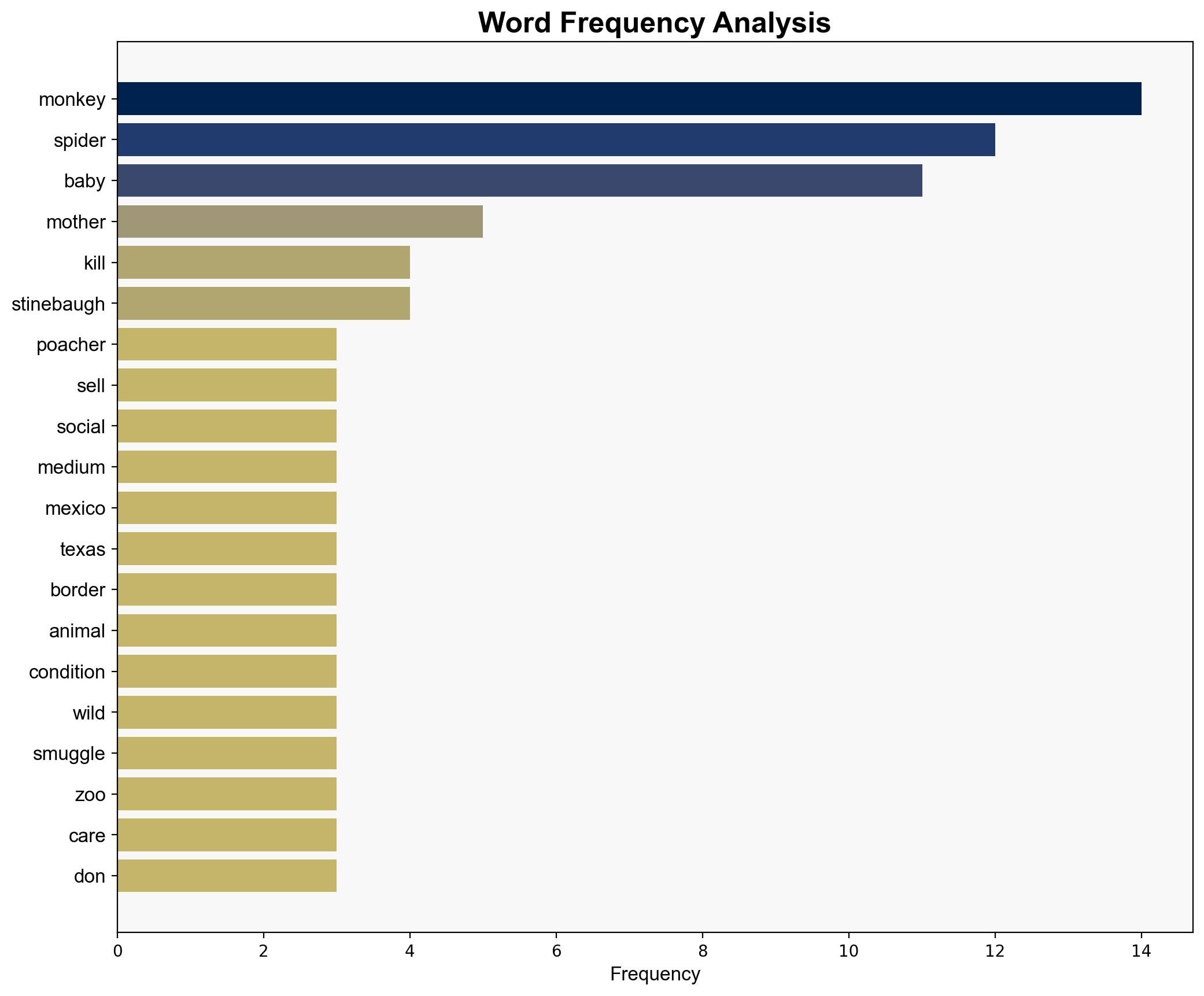 Poachers are killing spider monkeys and selling their babies on social media - CBS News - Image 3