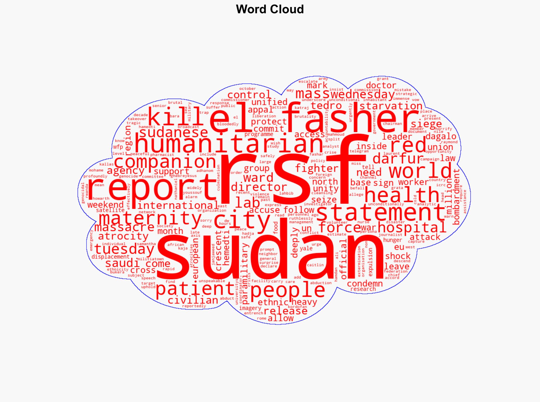 Sudan WHO 'appalled' by RSF maternity ward massacre - DW (English) - Image 1