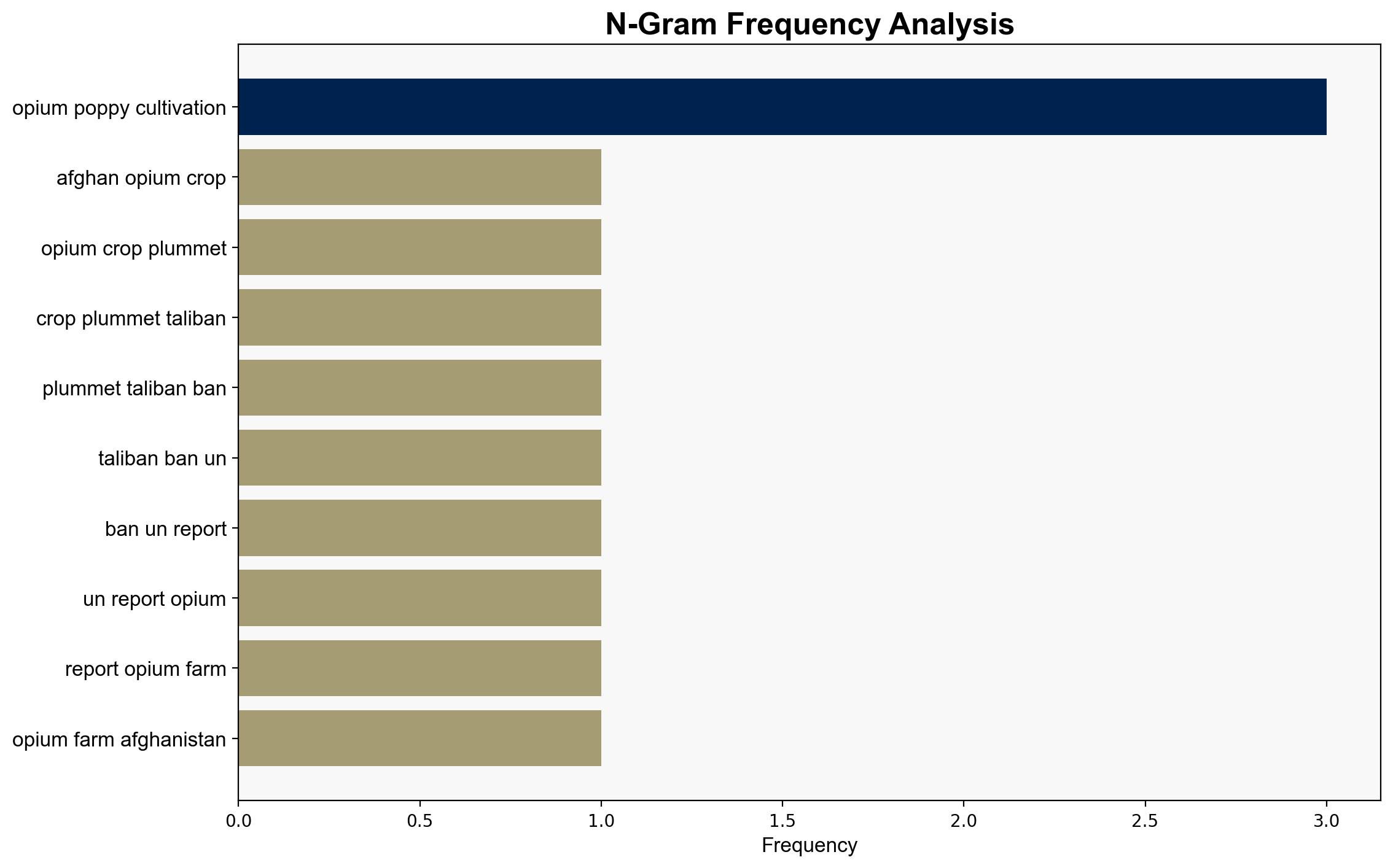 Afghan opium crop plummets after Taliban ban UN survey finds - BBC News - Image 4