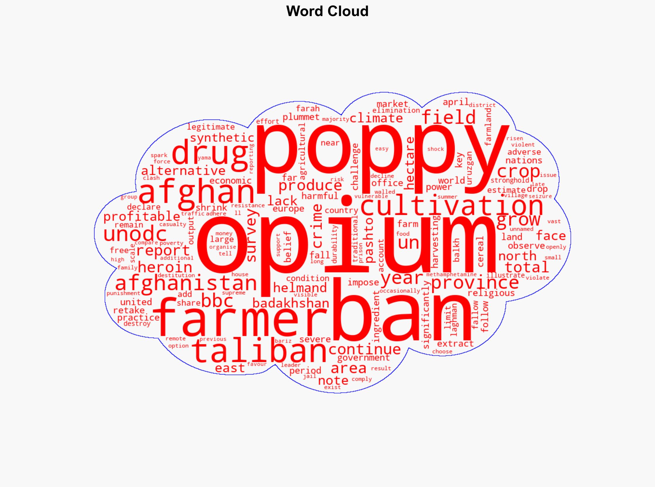 Afghan opium crop plummets after Taliban ban UN survey finds - BBC News - Image 1