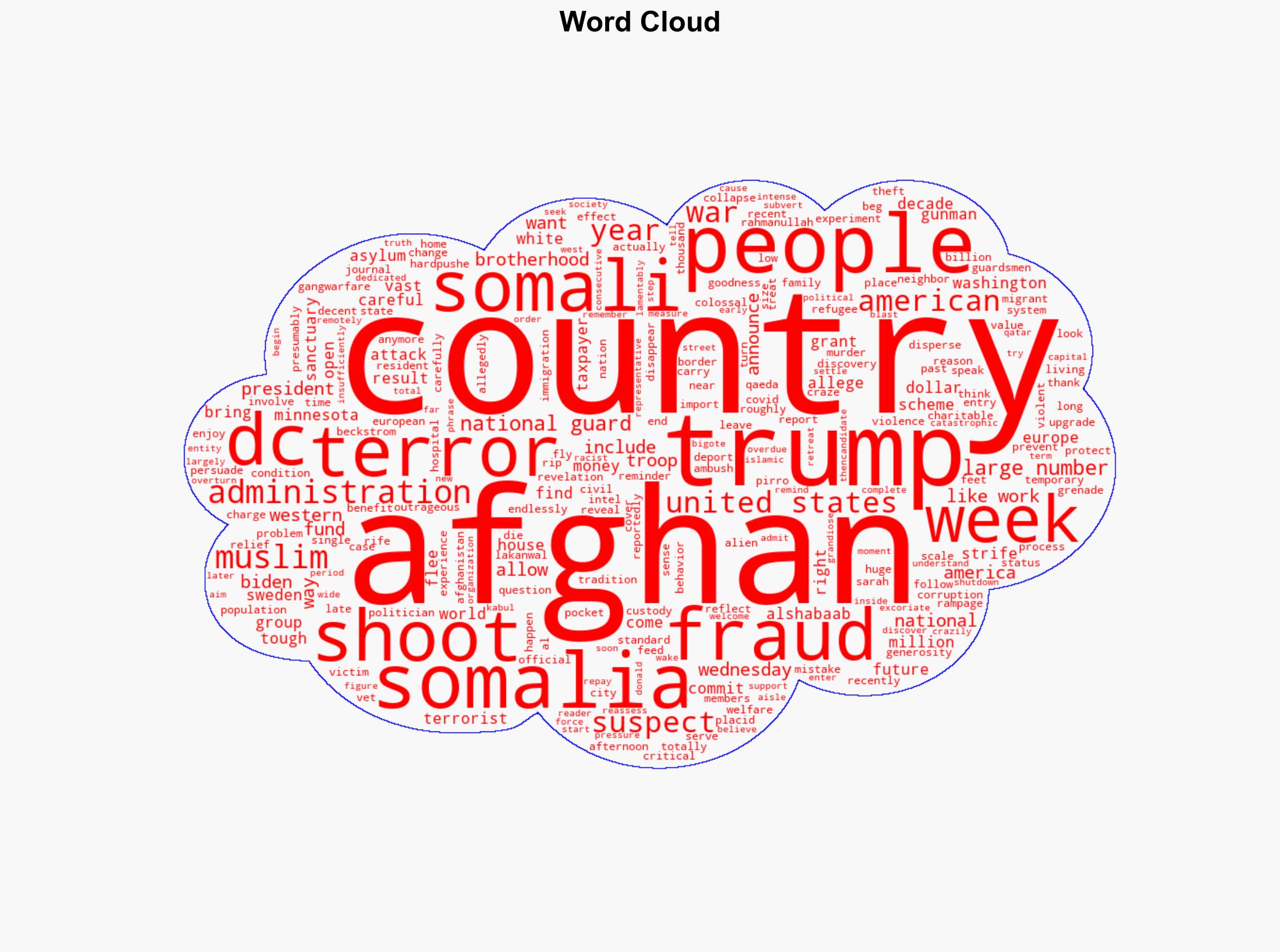 Afghan terror and Somalia fraud shows why Trump is right on migrants - Image 1