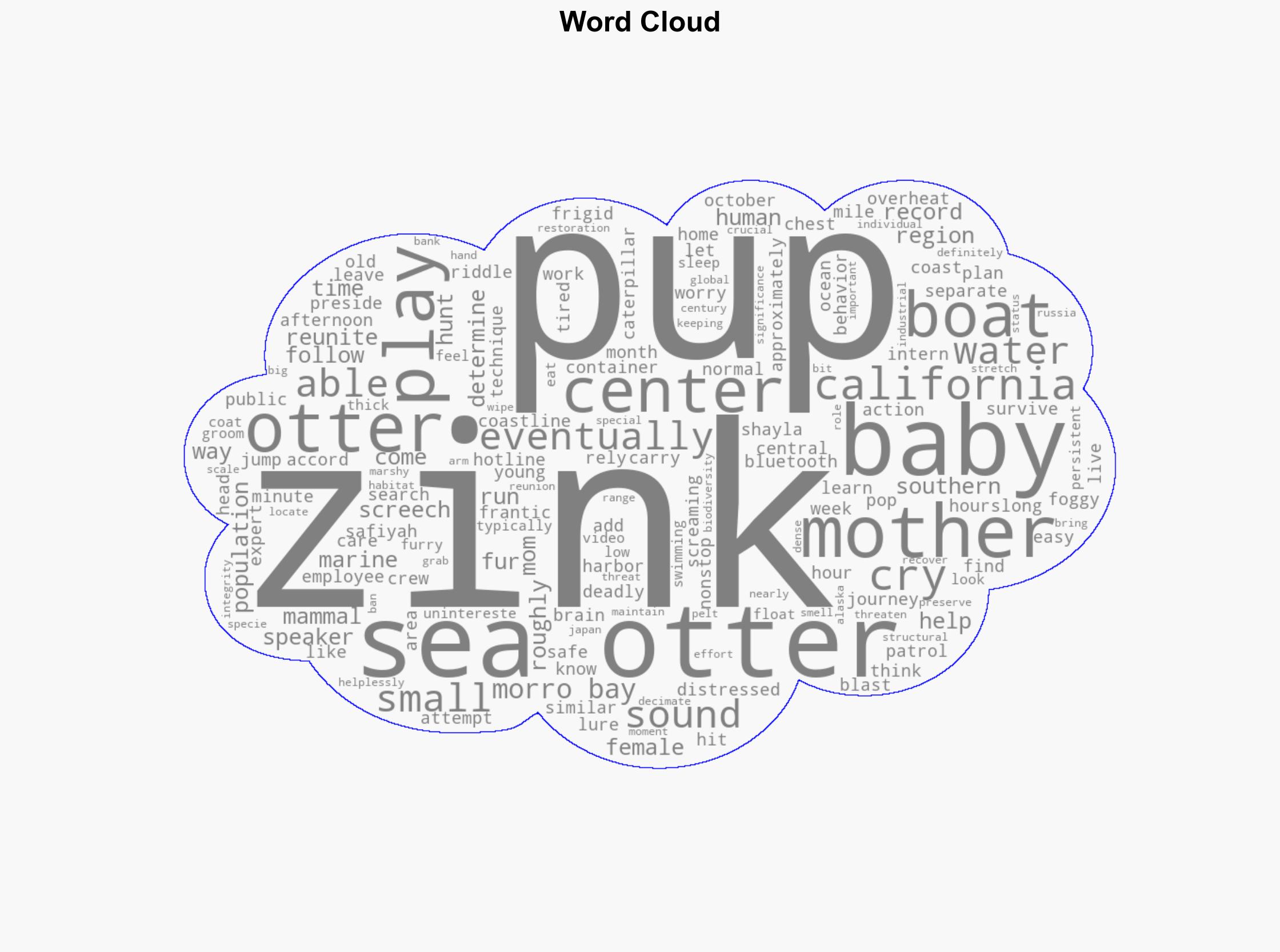 Baby sea otter is reunited with mother in central California after dramatic rescue - Boston Herald - Image 1