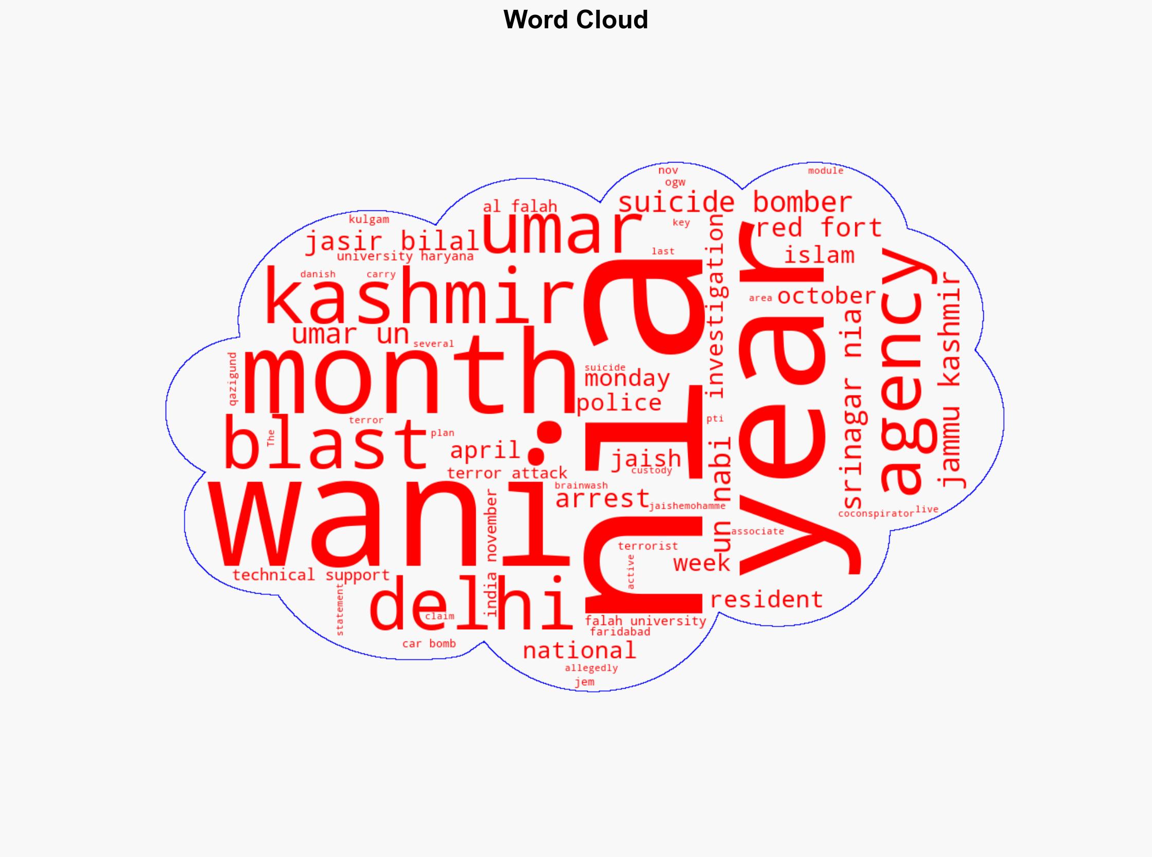 Delhi Blast NIA Arrests Kashmir Resident For Providing Technical Support To Suicide Bomber - Ndtvprofit.com - Image 1