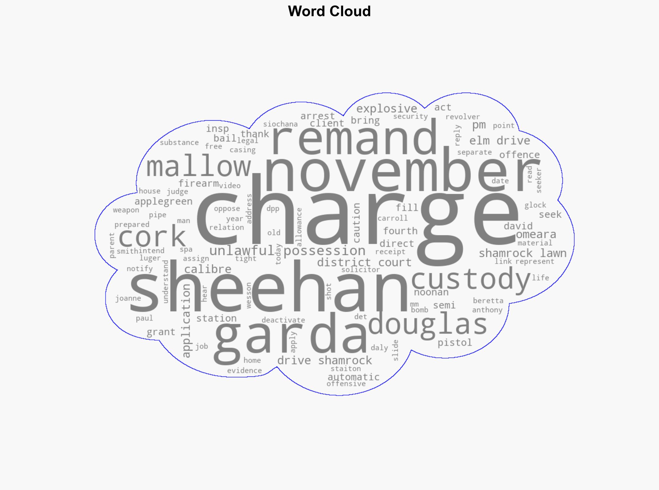 Man 45 charged with firearms and explosives offences - The Irish Times - Image 1