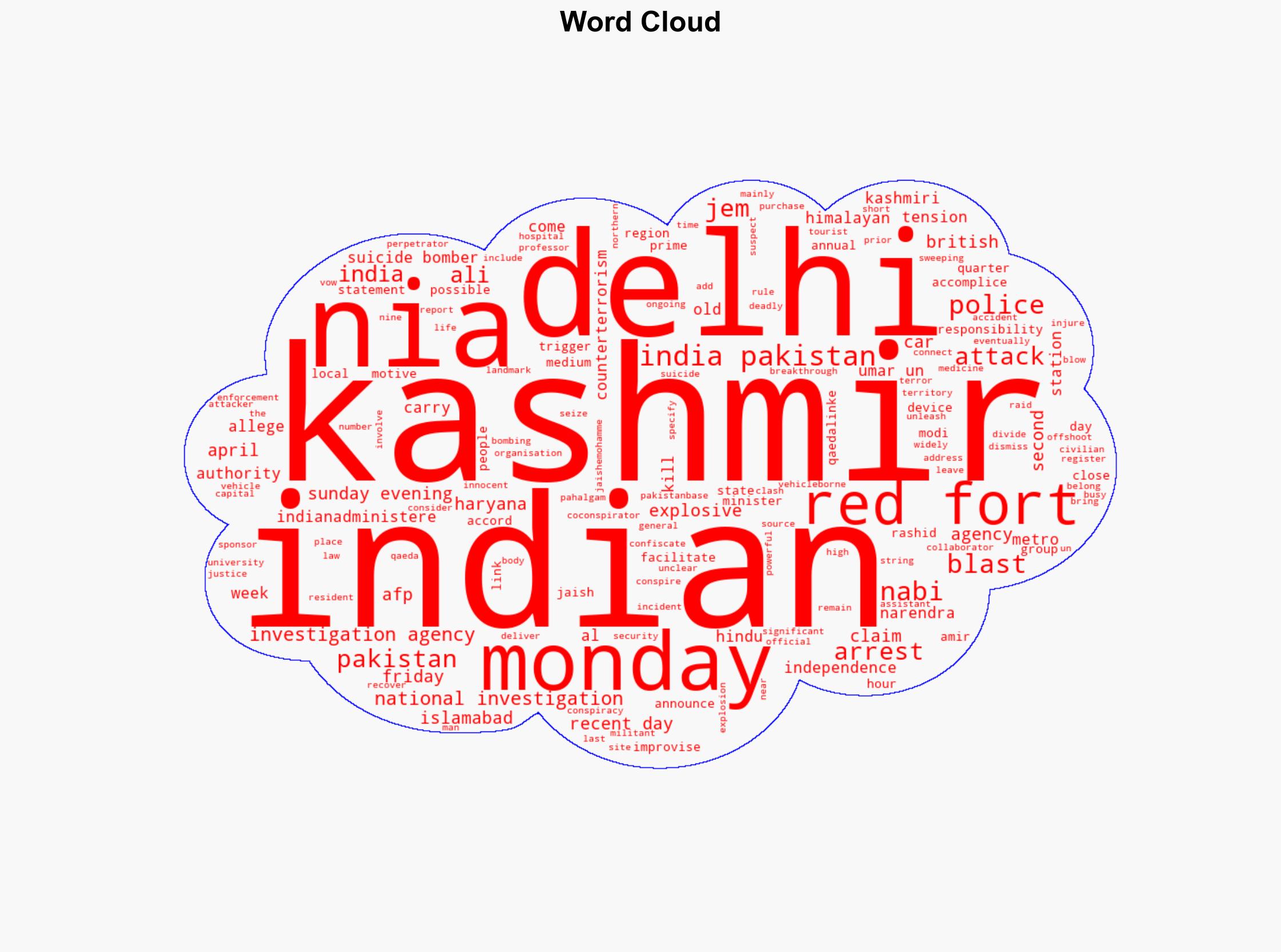 Man arrested over deadly Delhi suicide bombing - ABC News (AU) - Image 1