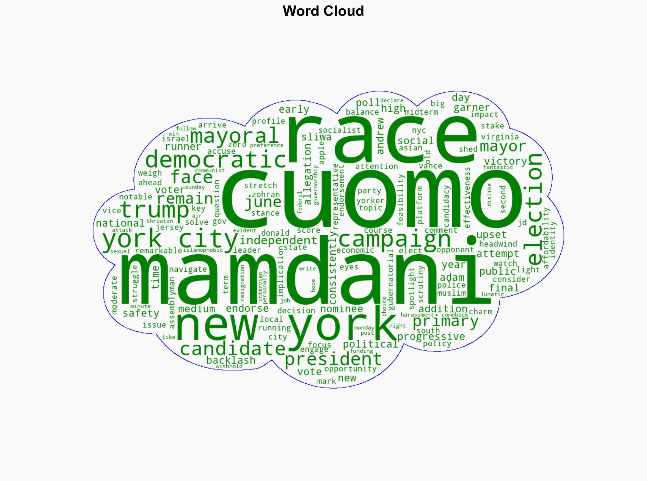 National spotlight shines on NYC mayoral race as voters make final decisions - ABC News - Image 1