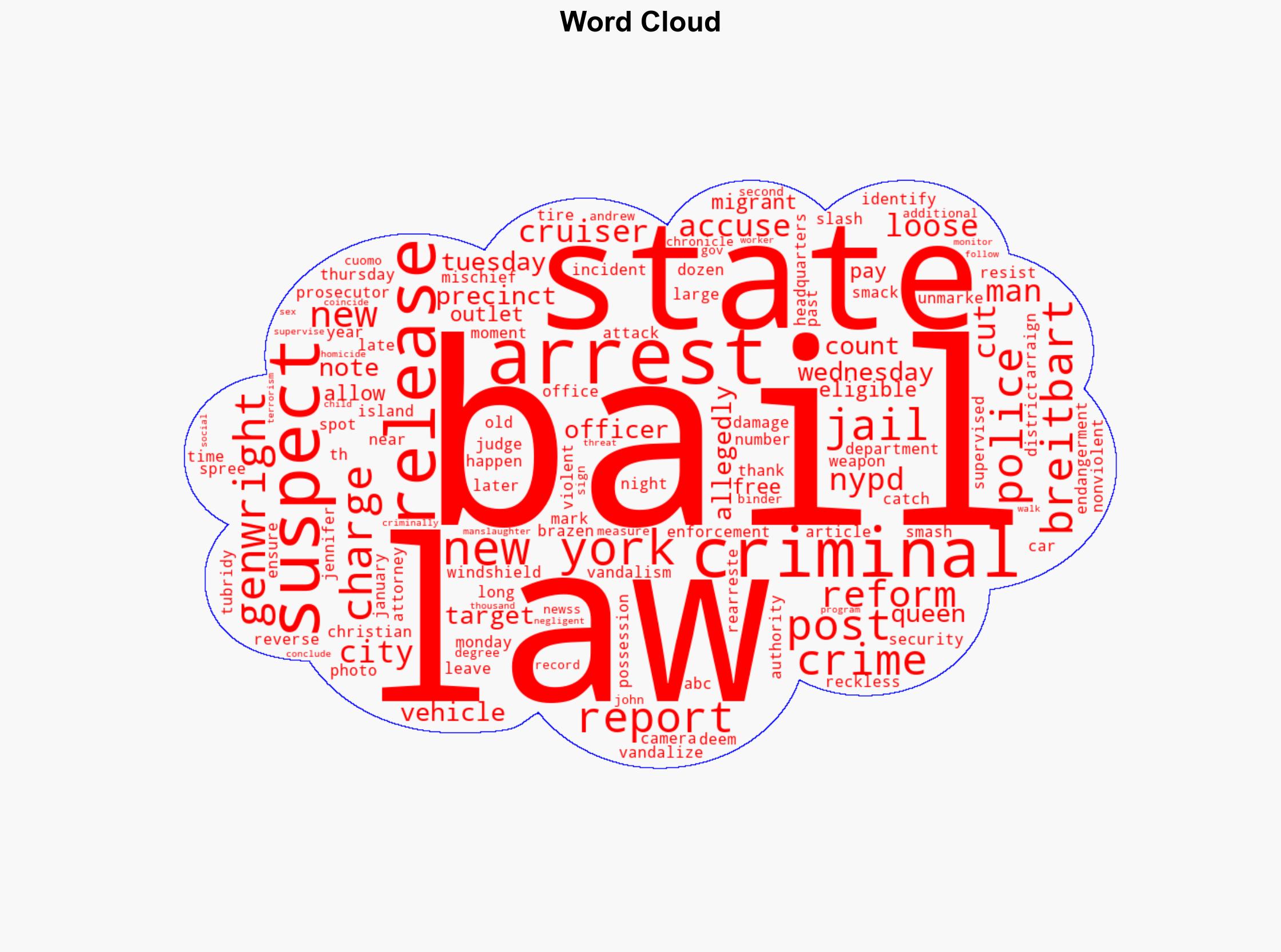 PHOTOS Judge Frees Man Accused of Vandalizing NYPD Vehicles - Breitbart News - Image 1