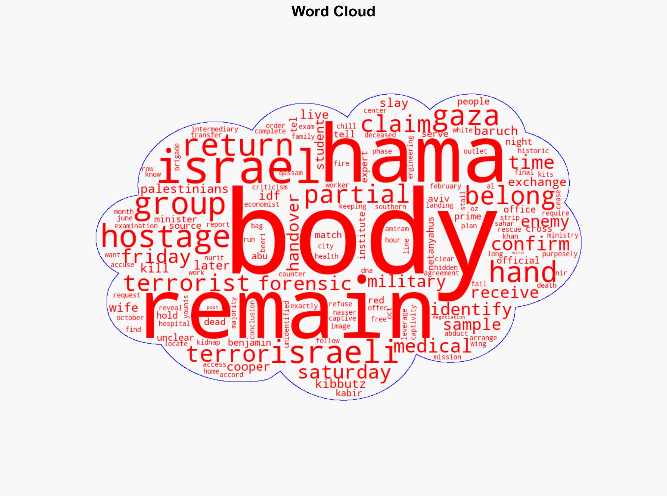 Partial remains handed over by Hamas are not hostages Israelis say - New York Post - Image 1