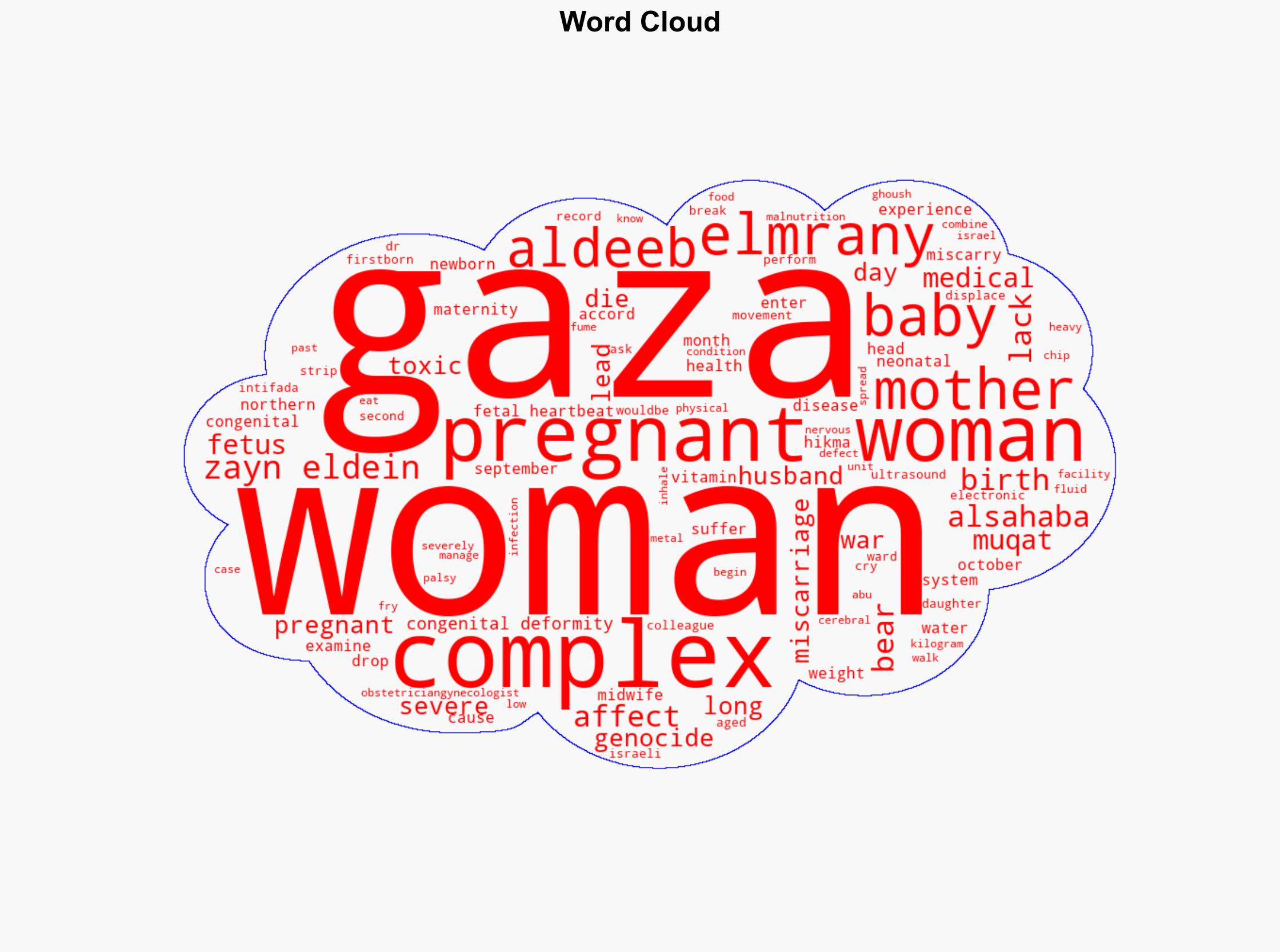 Pregnant women in Gaza face catastrophic scenarios - Image 1