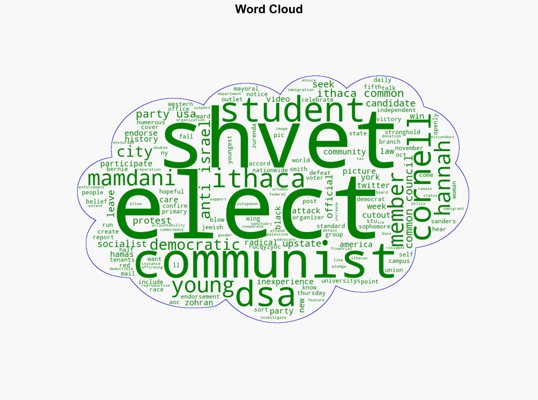Self-Described Communist Anti-Israel Cornell Student Elected to Ithaca Common Council - Legalinsurrection.com - Image 1