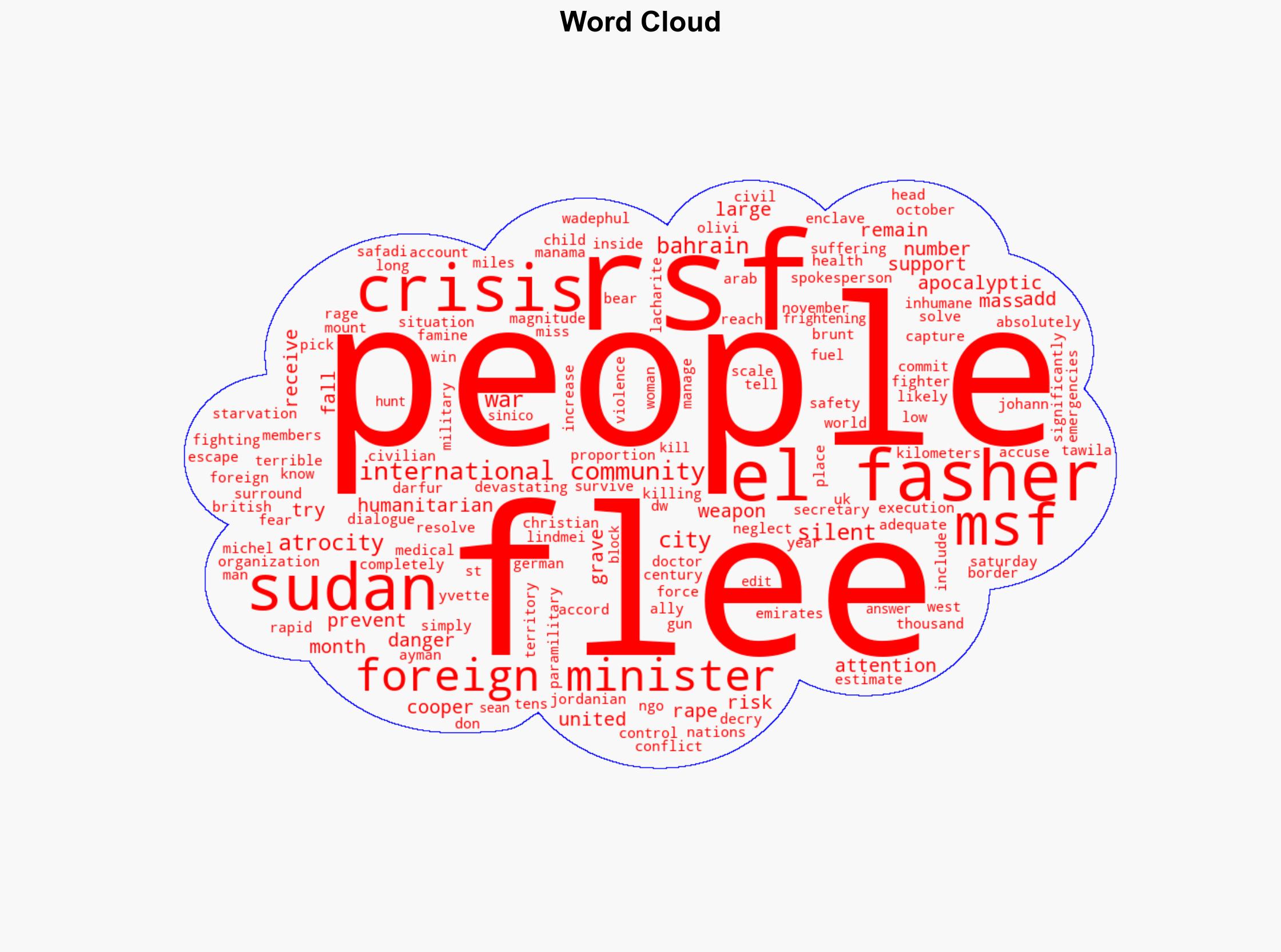 Sudan Foreign ministers decry 'apocalyptic' atrocities - DW (English) - Image 1