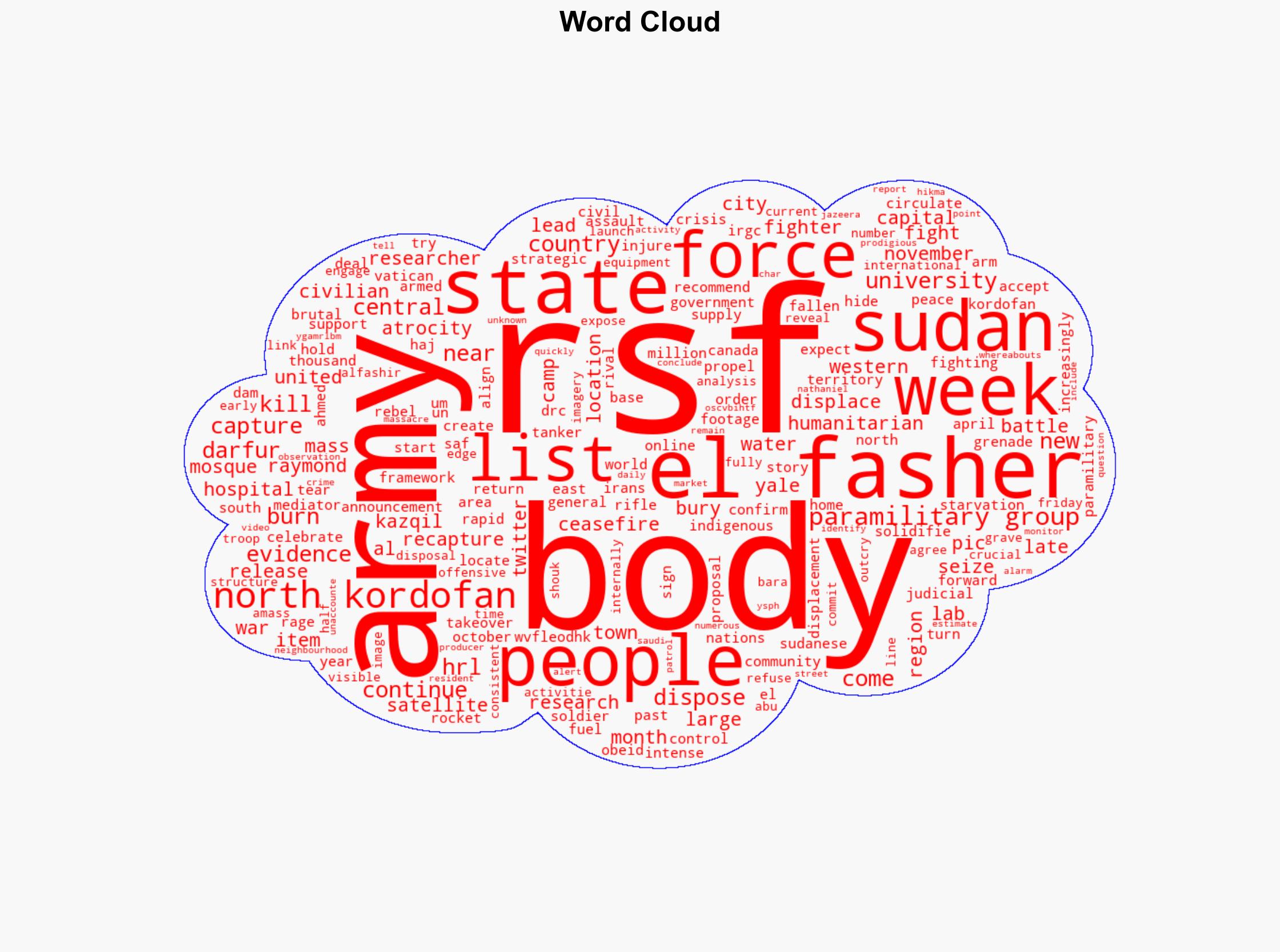 Sudans army captures two areas in North Kordofan as RSF burns more bodies - Al Jazeera English - Image 1