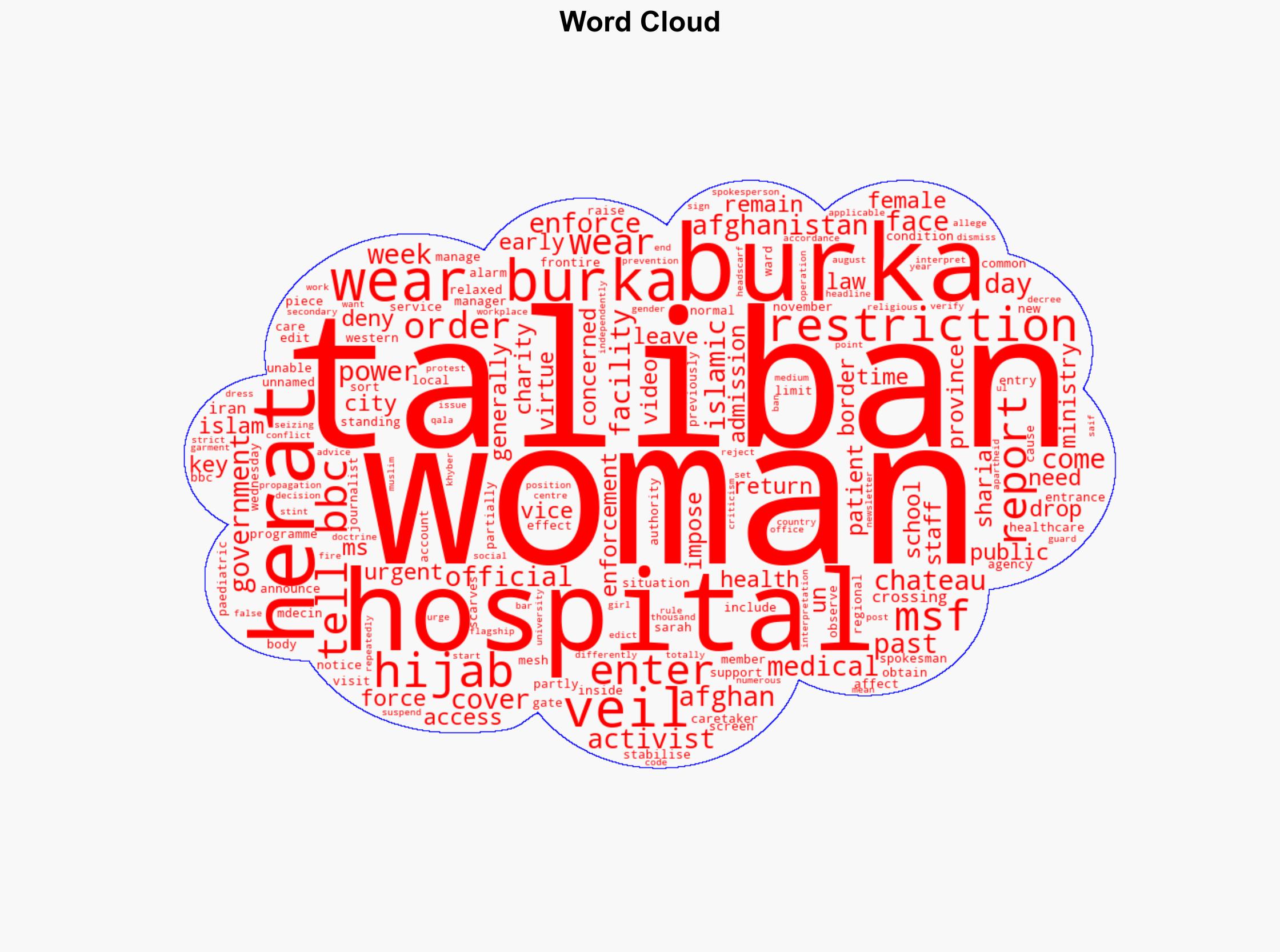 Taliban order women to wear burkas to access hospitals charity says - BBC News - Image 1