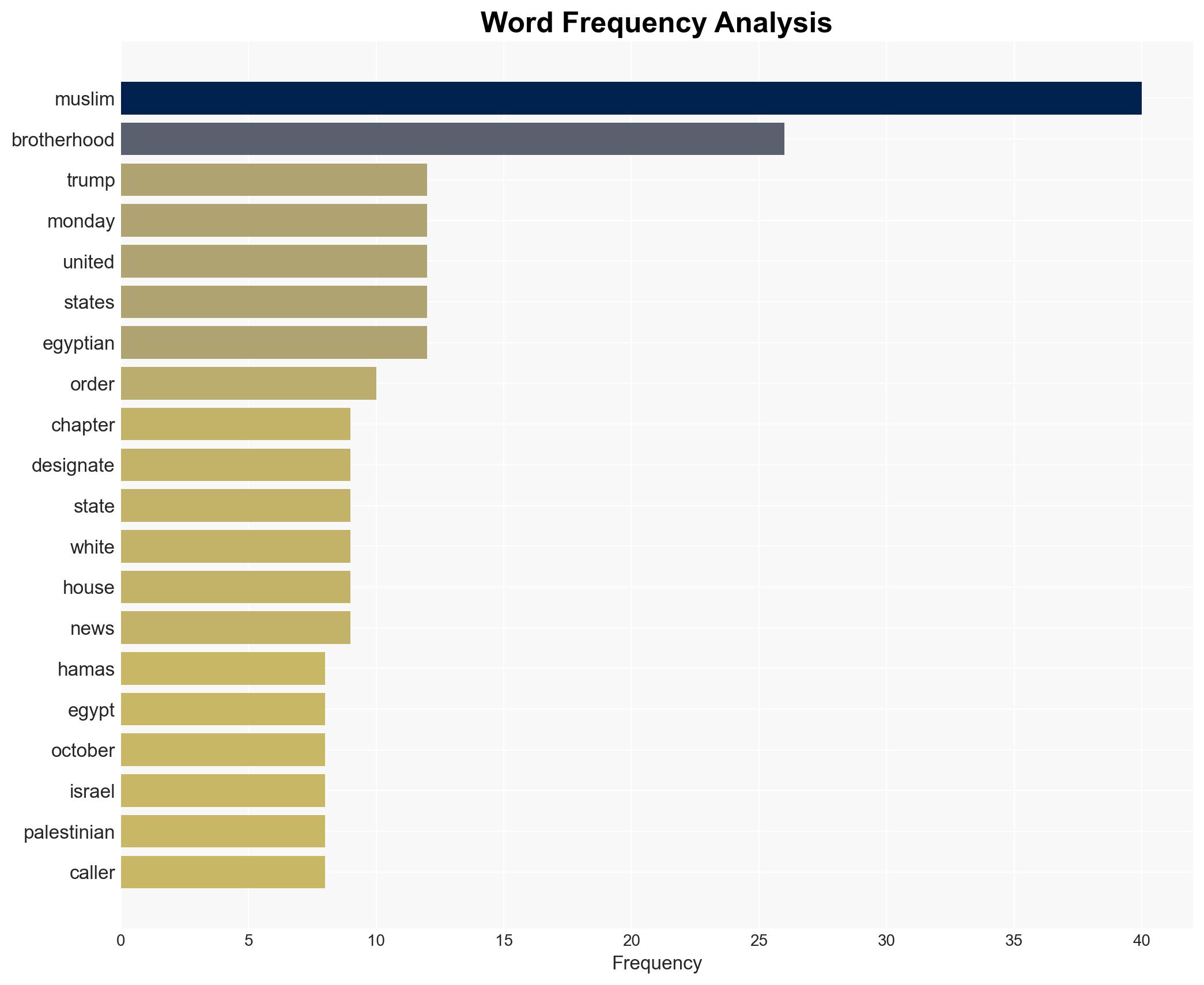 Trump Moves to Designate Muslim Brotherhood Chapters as Terrorist Groups - Image 3