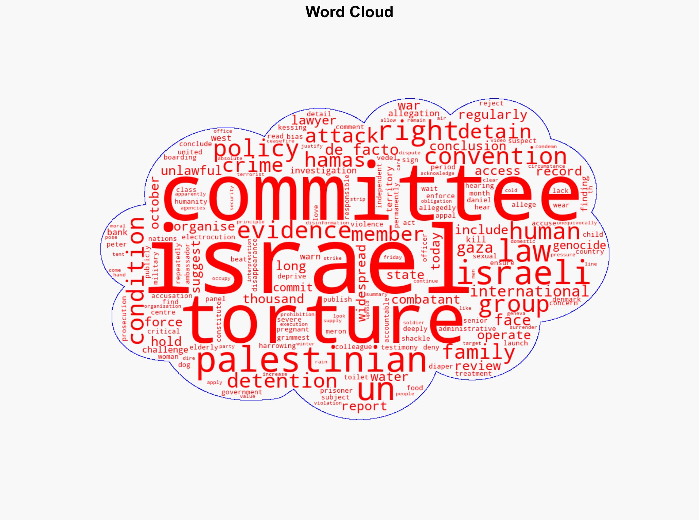 UN panel says Israel operating 'de facto policy of torture' - Image 1