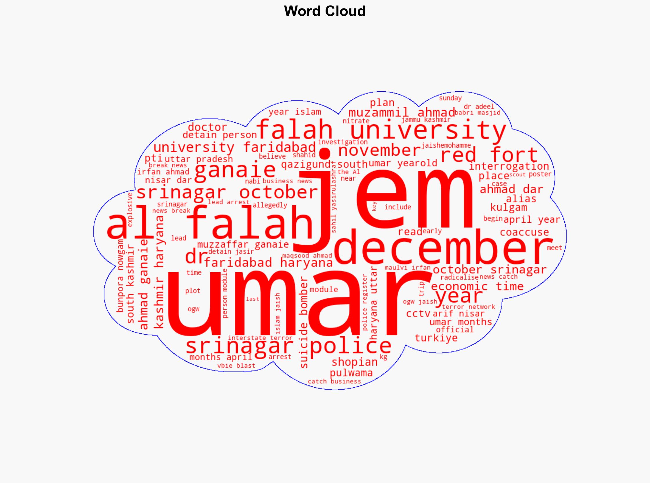 'White collar' terror module was scouting for suicide bomber since last year Officials - The Times of India - Image 1
