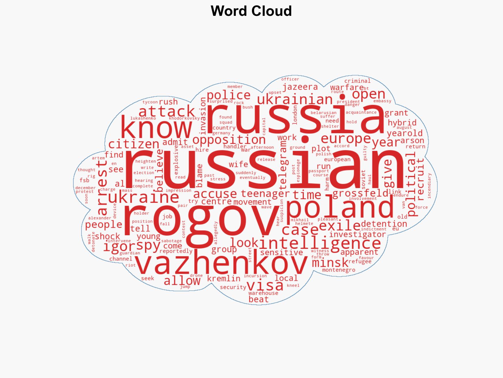 Exiled Russian accused of spying on opposition including Navalny movement - Image 1