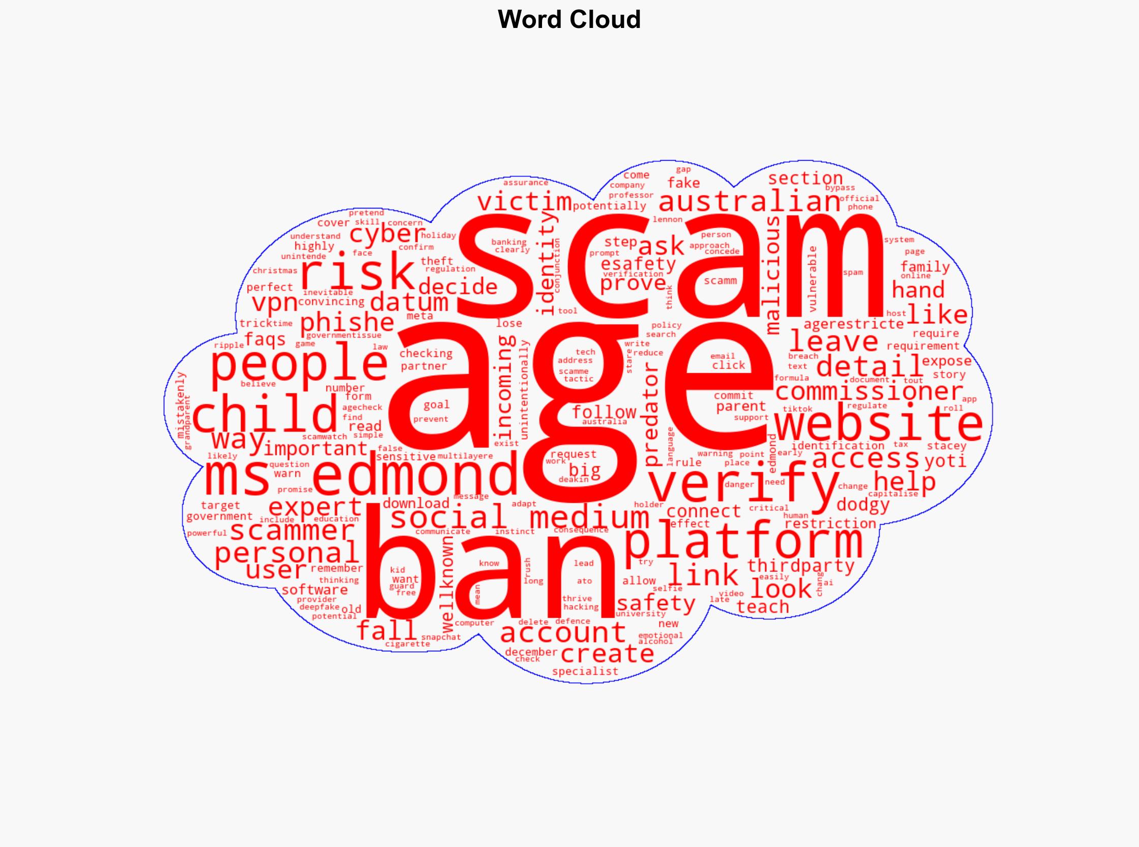 Social media ban leaves children vulnerable to phishing scams experts say - Image 1