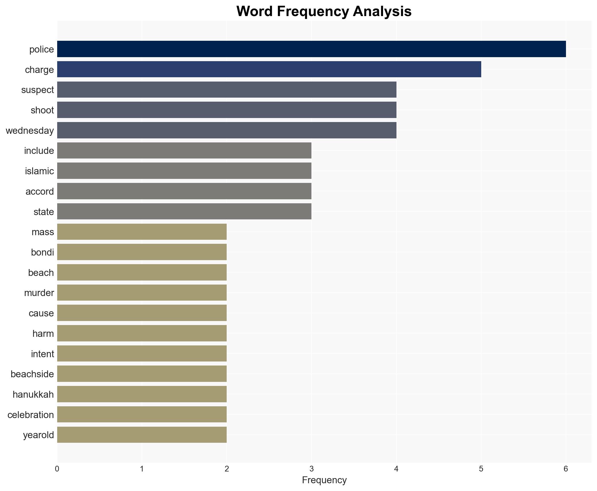 Suspect in Bondi Beach massacre is charged with murder and terrorism - Image 3