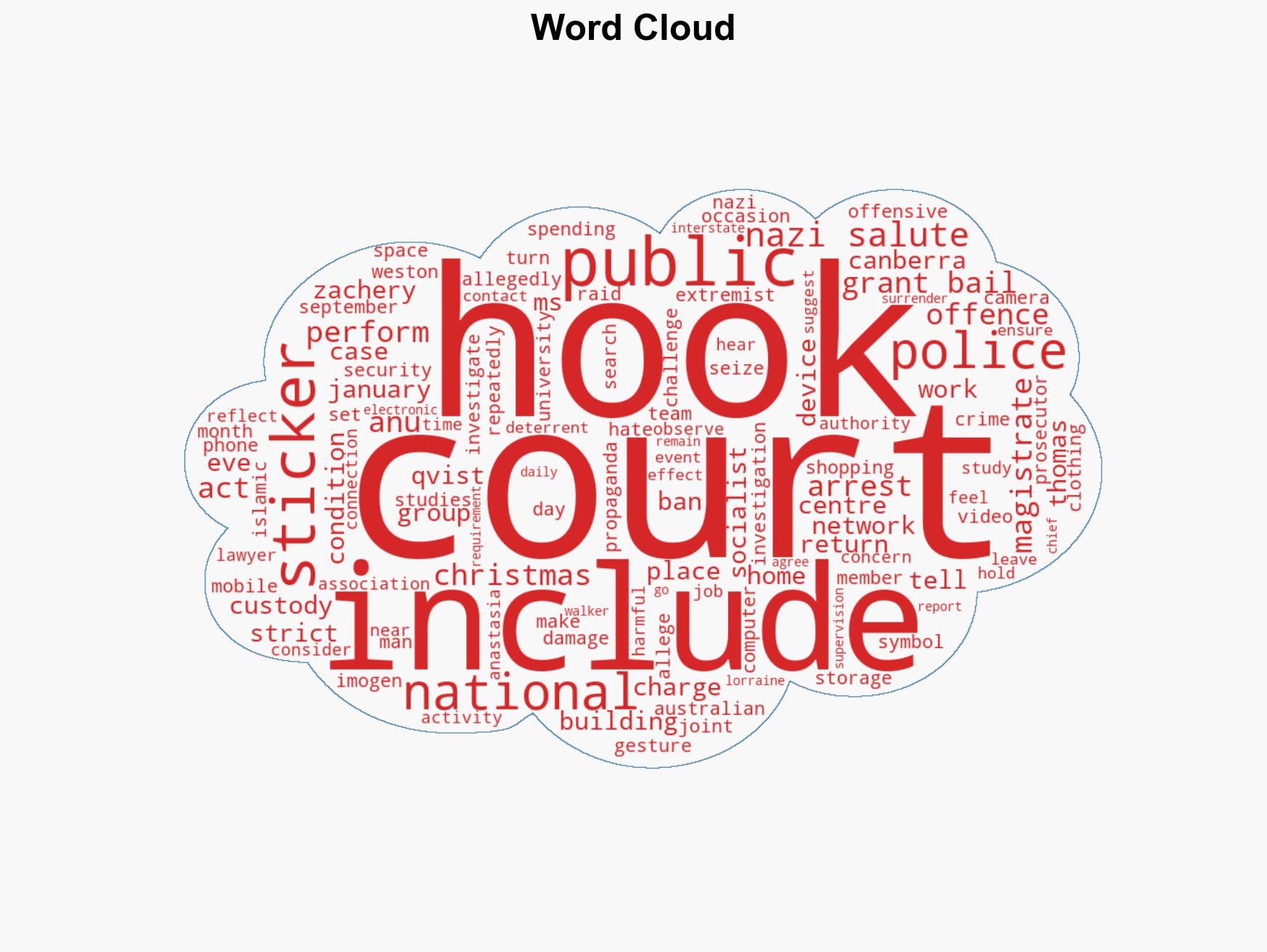 Teen accused of Nazi salutes granted bail in ACT court - Image 1