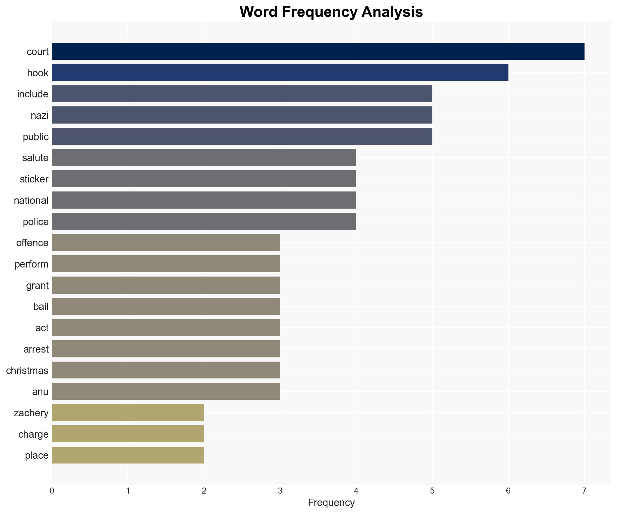 Teen accused of Nazi salutes granted bail in ACT court - Image 3