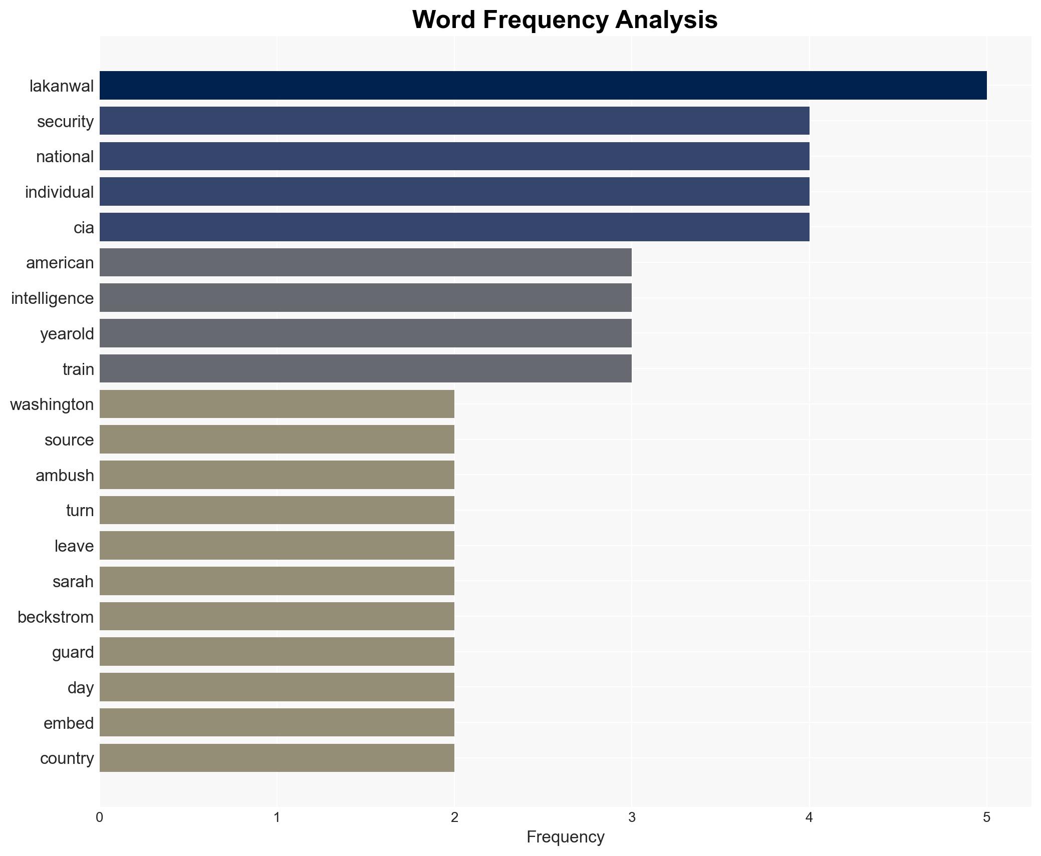 Intelligence Sources Warn of 'Embedded' Security Threats Following US Withdrawal From Afghanistan - Image 3