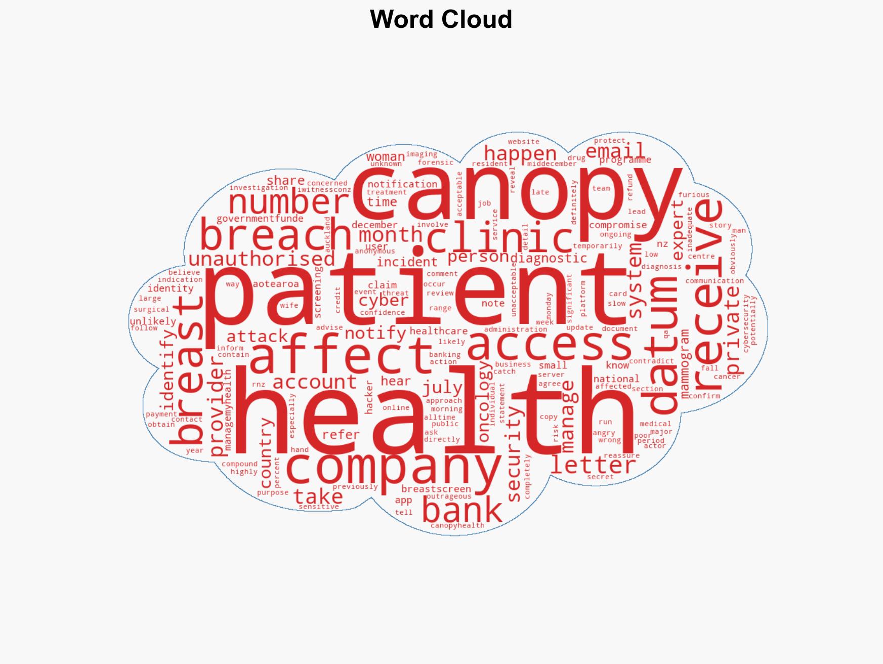 Second health provider Canopy Health hit in major cyber attack - Image 1