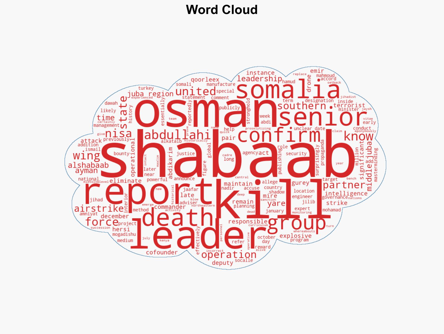 Somali intelligence claims death of senior Shabaab leader - Image 1