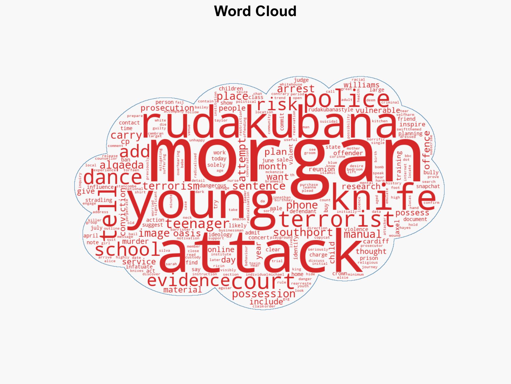 Teen obsessed with Southport killer planned bomb attack at Oasis concert - Image 1