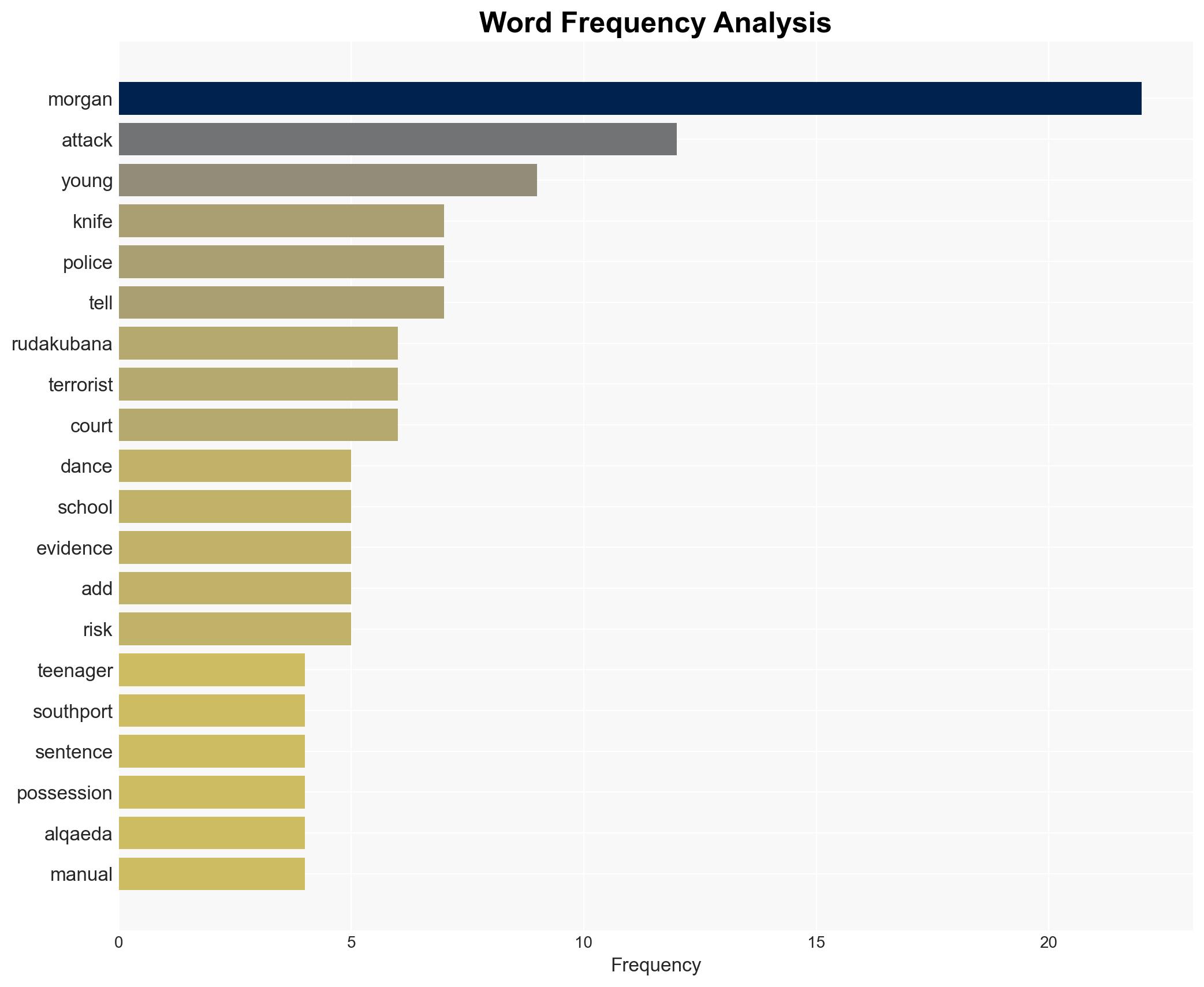 Teen obsessed with Southport killer planned bomb attack at Oasis concert - Image 3