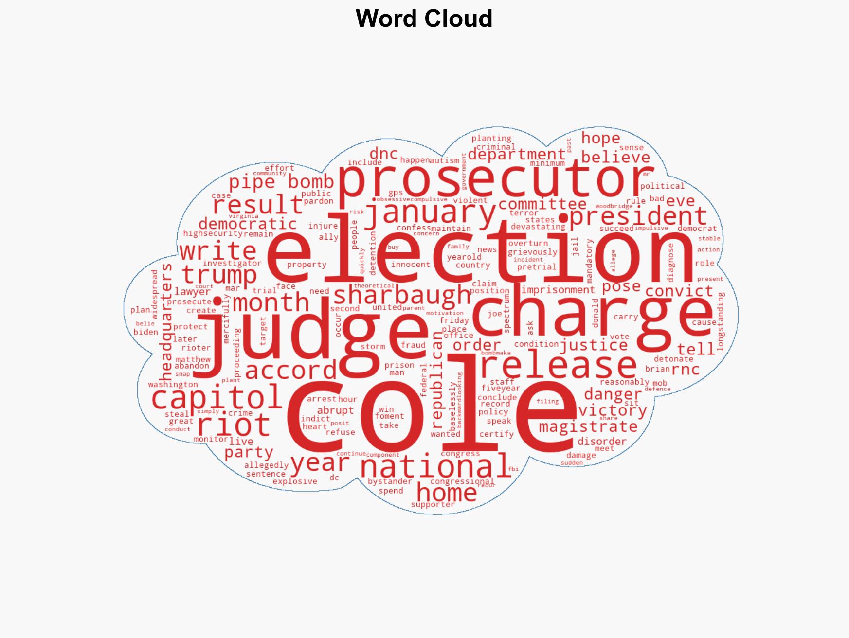 US judge orders DC pipe bomber to remain in custody ahead of trial - Image 1