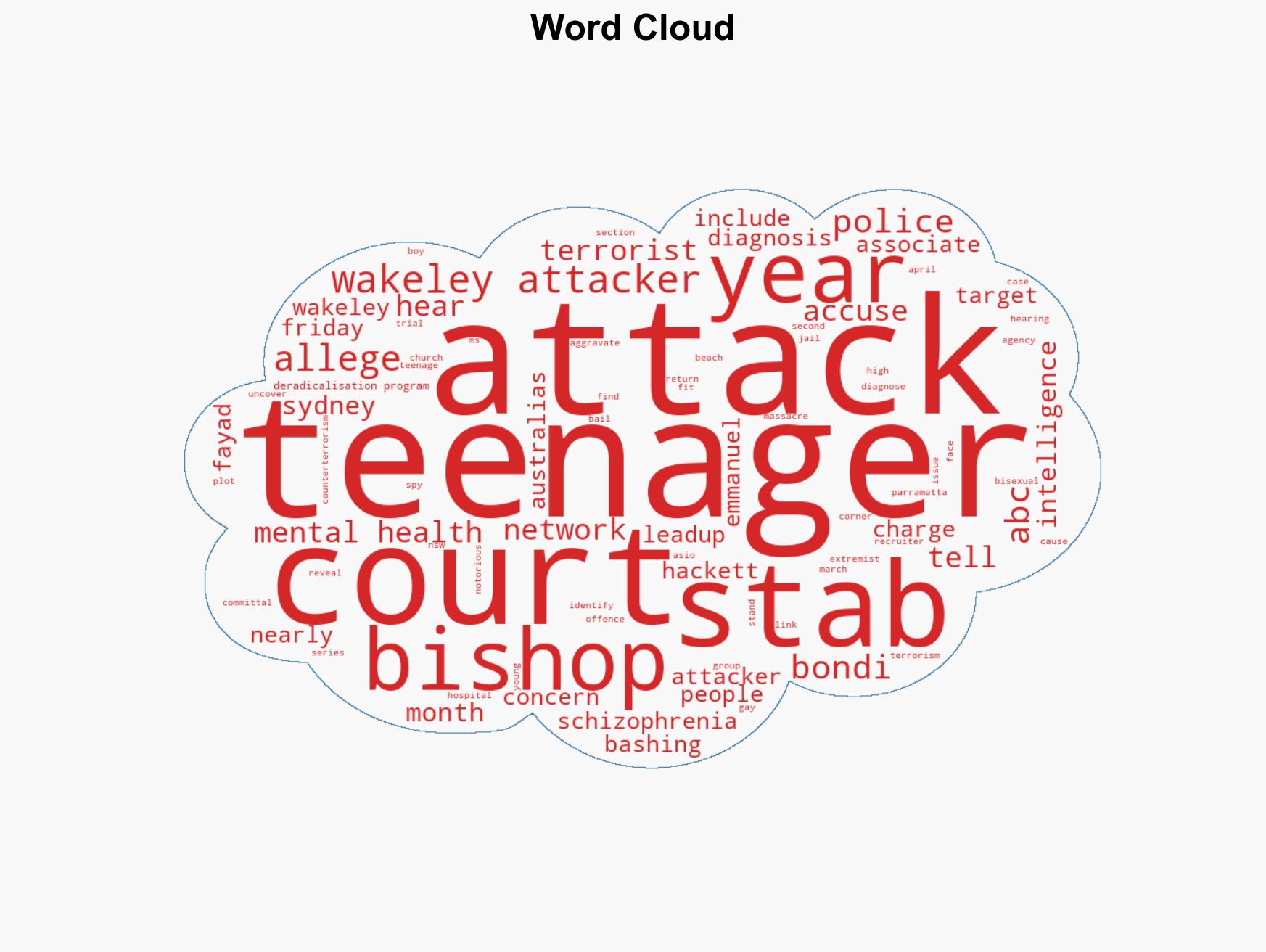 Alleged terrorist who stabbed bishop diagnosed with schizophrenia - Image 1