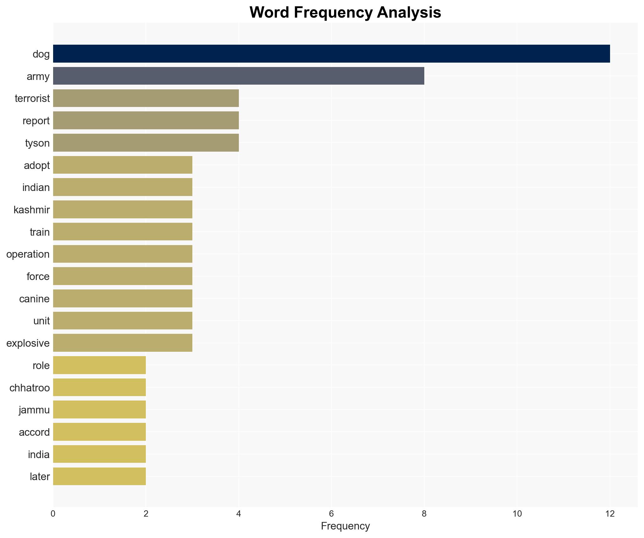 Meet Tyson the local dog adopted by the Indian Army that helped eliminate three terrorists even after being shot - Image 3