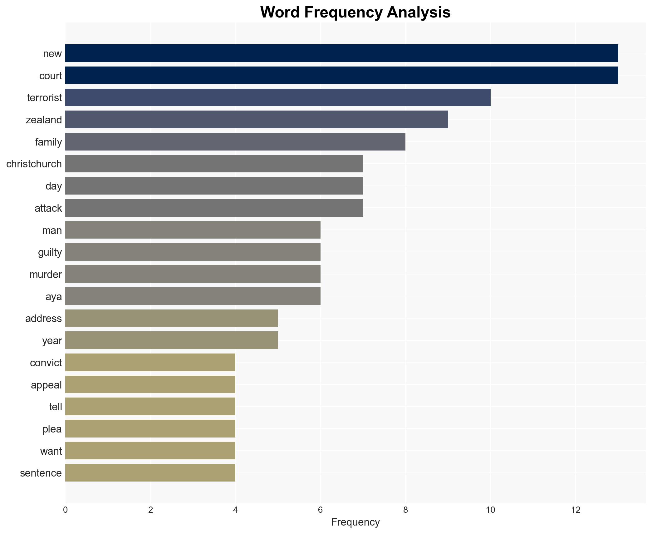 The Christchurch terrorist who pleaded guilty to mass murder has changed his mind - Image 3
