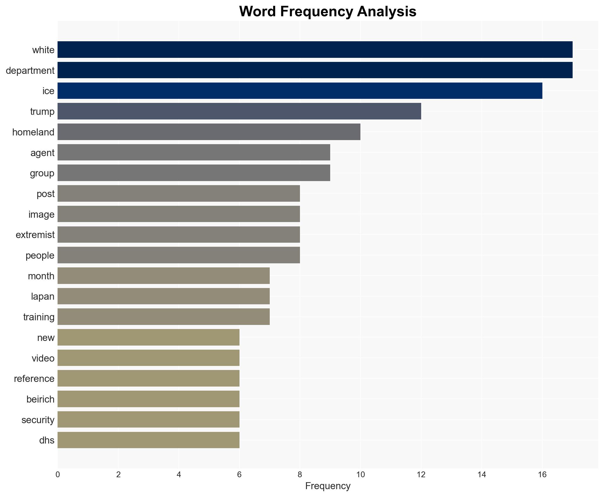 How 'white supremacist' material was used to hire an army of ICE agents - Image 3