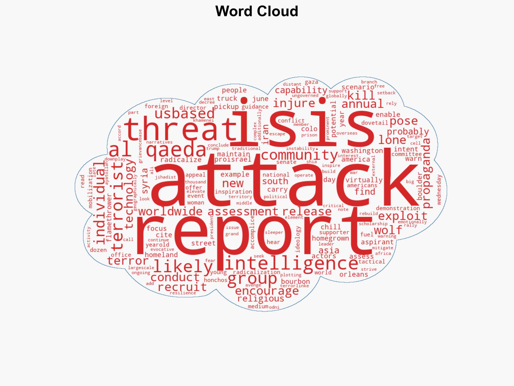 Lone actors most likely to commit US terror attacks intel report - Image 1